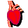 image:cns.png