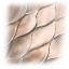 Image:Twitter Fish Scales.png