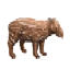 Image:Spotted Tapier.png