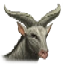 Image:Blesbok.png