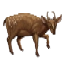 Image:Clawhorn.png