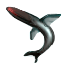 Image:Flying Eel.png