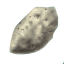 Image:Aged Potato.png