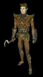 Druid