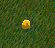 Image:Amber.gif