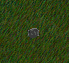Image:Piece_of_coal.gif