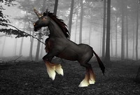 Dire Unicorn