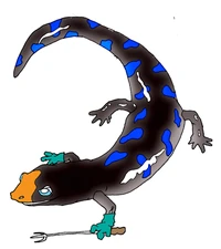 Ahndar Seti
