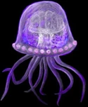 Image of a Centauran