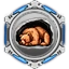 Image:IO Hibernation.png