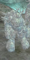 Coral Warders