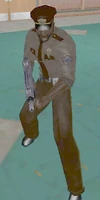 Private Security Officer