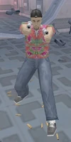 Undercover Cop
