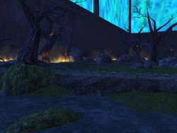 Devastated Woodland