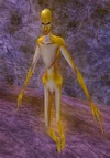 Wisp