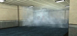 The fog