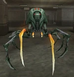 Fire Tarantula