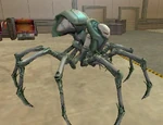 Tarantula Mistress