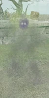 A mysterious Master Shadow