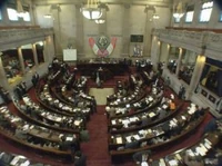The Free Republic's parliament in session.