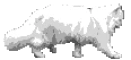 Image:Walkingcat.gif