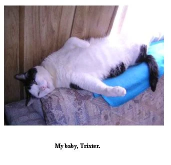 Image:MyBaby.JPG