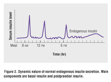 Another view of endogenous (produced by the body) insulin production of a non-diabetic human. The basal, or body's needs minus the processing of food, insulin levels are the lower, often wavy lines shown. The sharp peaks represent how the body responds automatically with secretion of additional insulin to handle the extra glucose creating by eating meals, which are referred to as post-prandial (after-meals) on this graph. People using insulin try to re-create this pattern as much as possible by using fast or short-acting insulin at meal times.