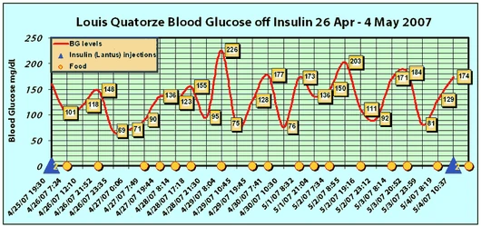 Chart 1: Blood glucose test chart for Louis when off insulin 26 April - 4 May, 2007. In the first two days some of Lantus would still be affecting it. Note: Click for larger high res image.