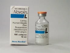 Novolin L--Novo Nordisk's GE Lente insulin was sold in North America under this brand name until the end of 2003.