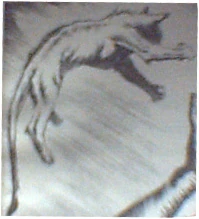 Image:Constance.jpg