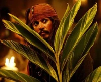 Jack attempts to hide from James Norrington.