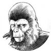 Cornelius in Foster & Whitty's 'Within The Planet of the Apes'; illustration by Neil Foster