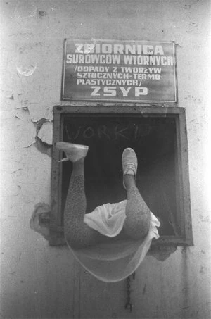 grafika:Zsyp.jpg