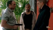 Fin Del Camino (episode)