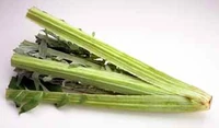 http://images4.wikia.nocookie.net/recipes/images/thumb/6/60/Cardoon.jpg/200px-Cardoon.jpg