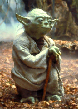 http://images4.wikia.nocookie.net/ru.starwars/images/thumb/4/45/Yoda.jpg/250px-Yoda.jpg