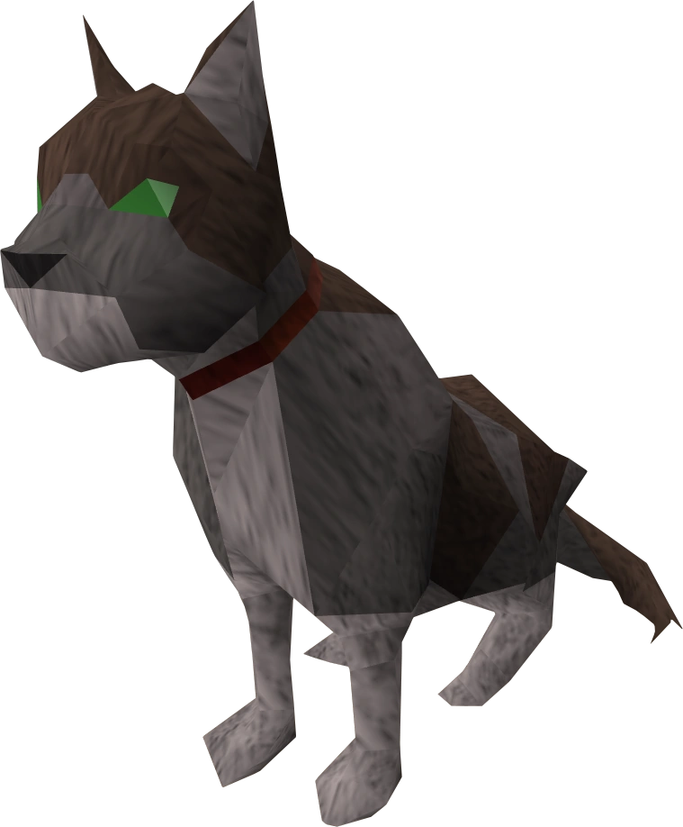 Dromund's cat