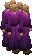 The Zanaris choir
