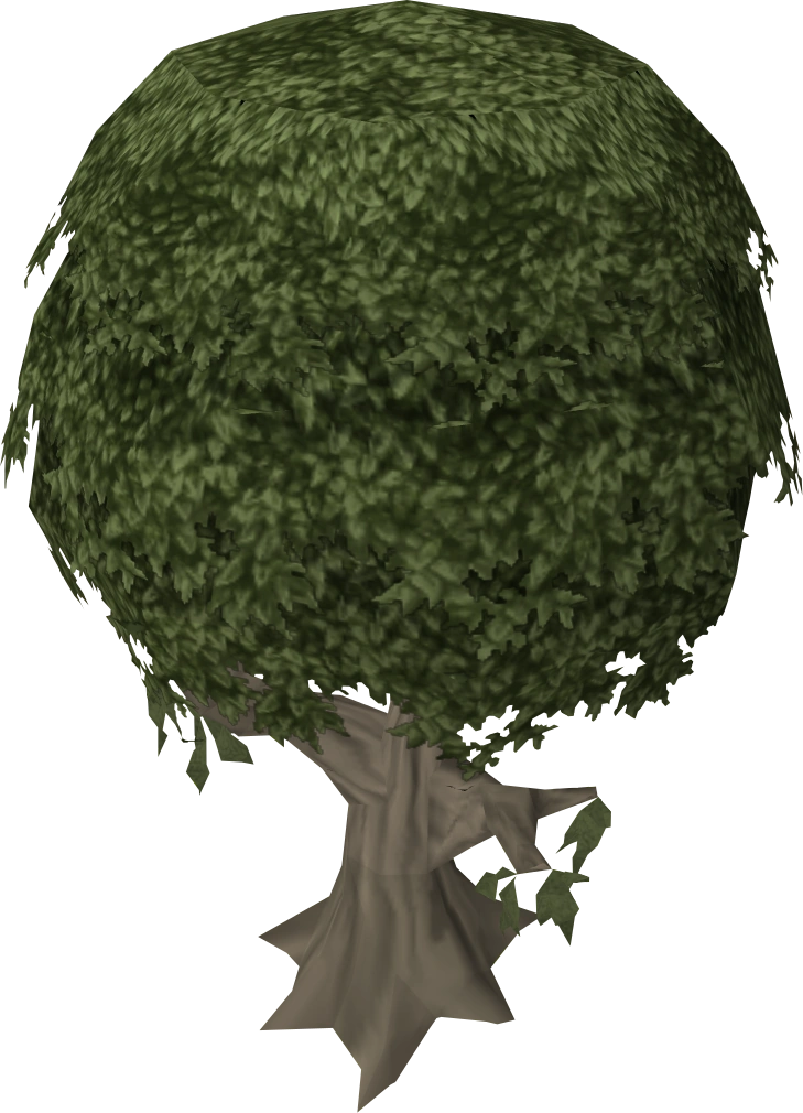 Mastic tree