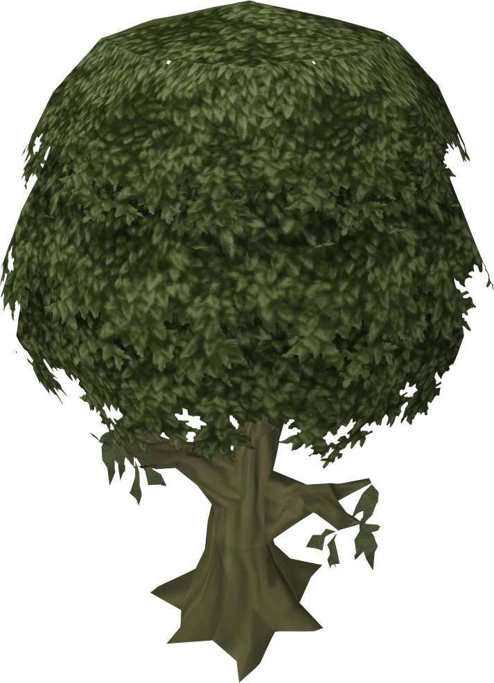 Ailanthus tree