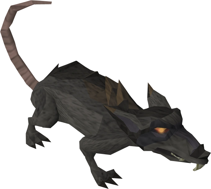 Giant rat