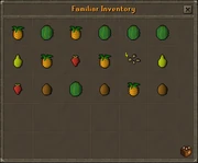 Typical inventory of a fruit bat after 45 minutes. The total value of the items was about 8000 gp at the time of the summoning.