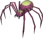 The Spider Herald.