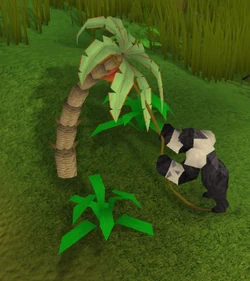 Getting the banana.