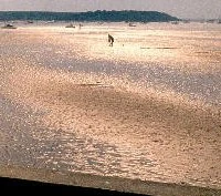 Image:Poole74-200.jpg