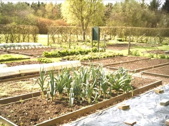 raised beds, Yalding Organic Gardens, Kent, England, April. Photo credit: Philralph