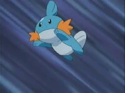 Mudkip em uma luta.
