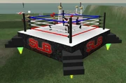 Second Life Boxing league showed up with a float/ring, no one was hurt.