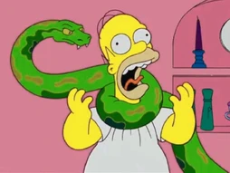 images4.wikia.nocookie.net
