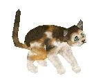 File:Scout.jpg